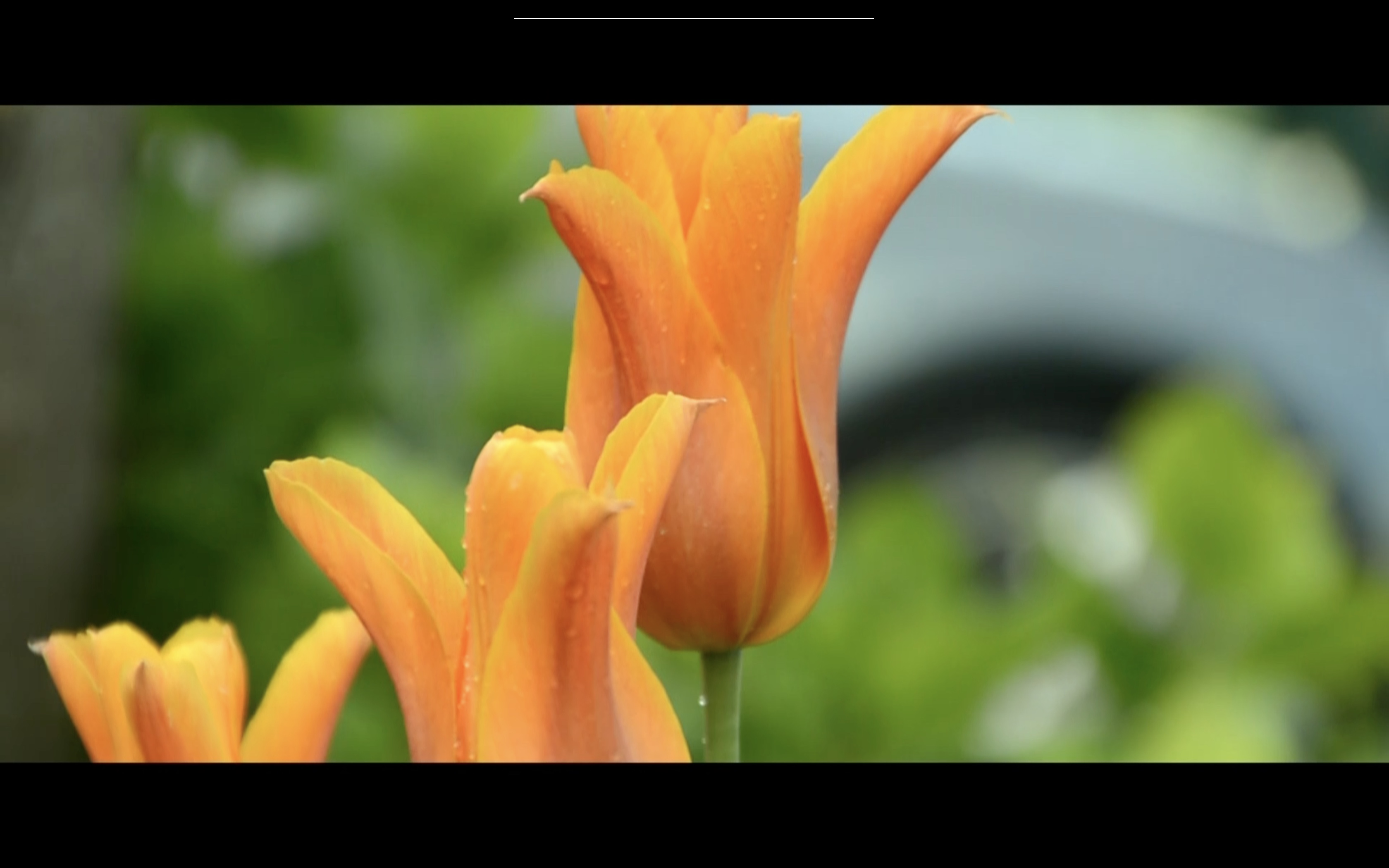 Vom Benutzer hochgeladene Datei