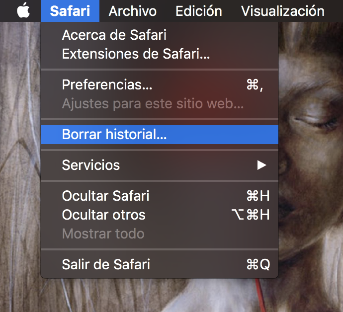 Archivo cargado por el usuario