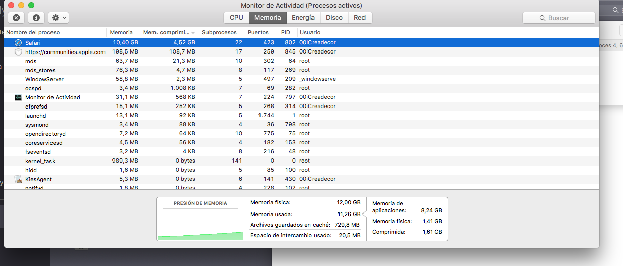 Archivo cargado por el usuario