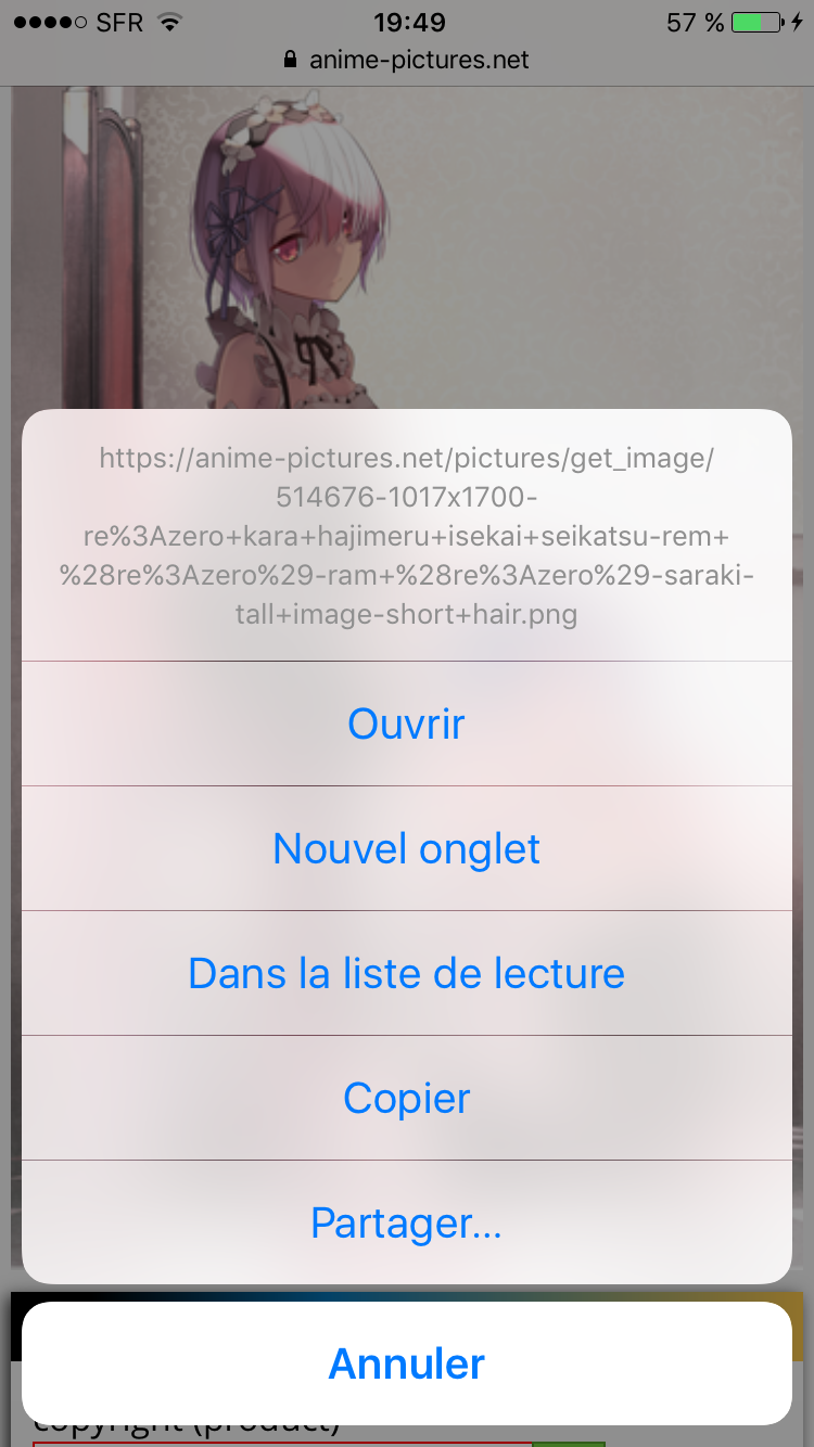 Fichier chargé par un client