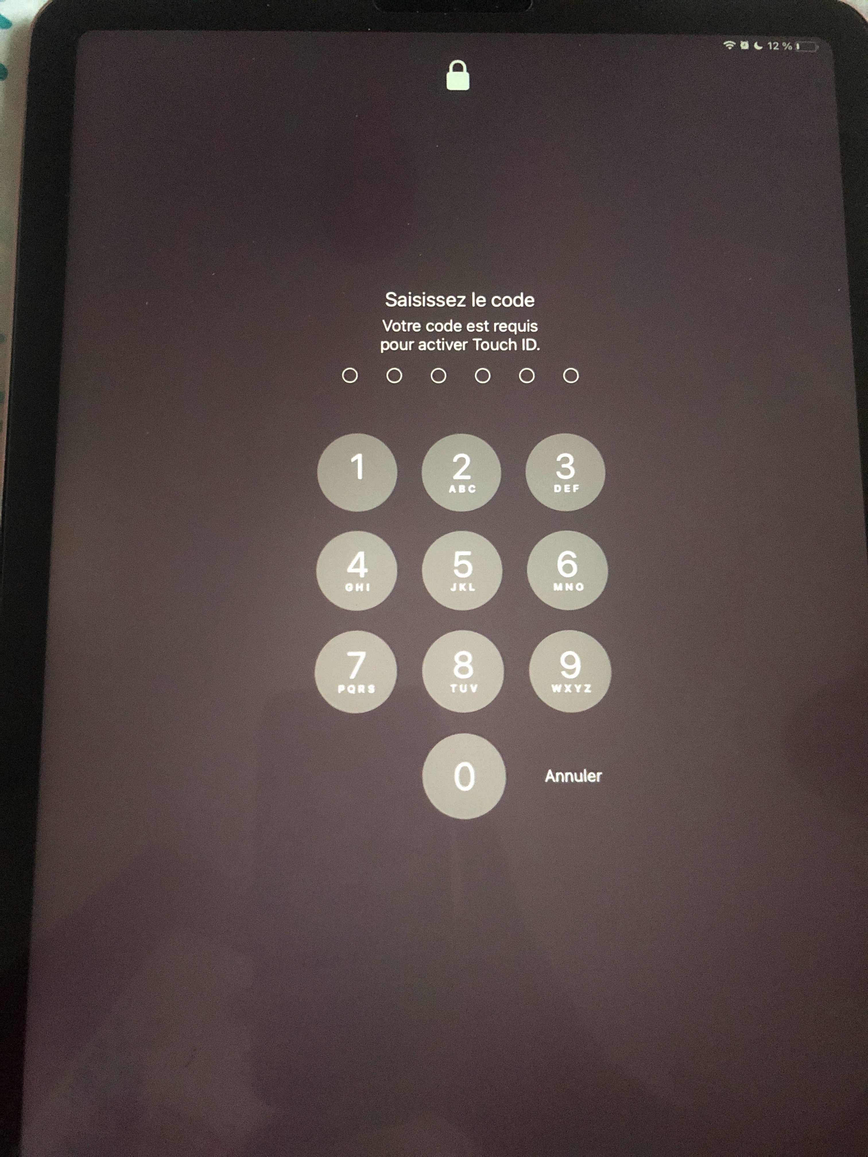 Problème d'écran tactile iPad bloqué : pourquoi il ne fontionne pas ?