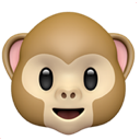 julienthemonkey